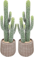 bellacat 25in UV Resistant Fake Cactus with Brown Decorative Pot, Realistic Faux Cactus Plants Indoor, Artificial Cacti for Table Living Room Office Porch Home & Outdoor Decor, 2 Pack