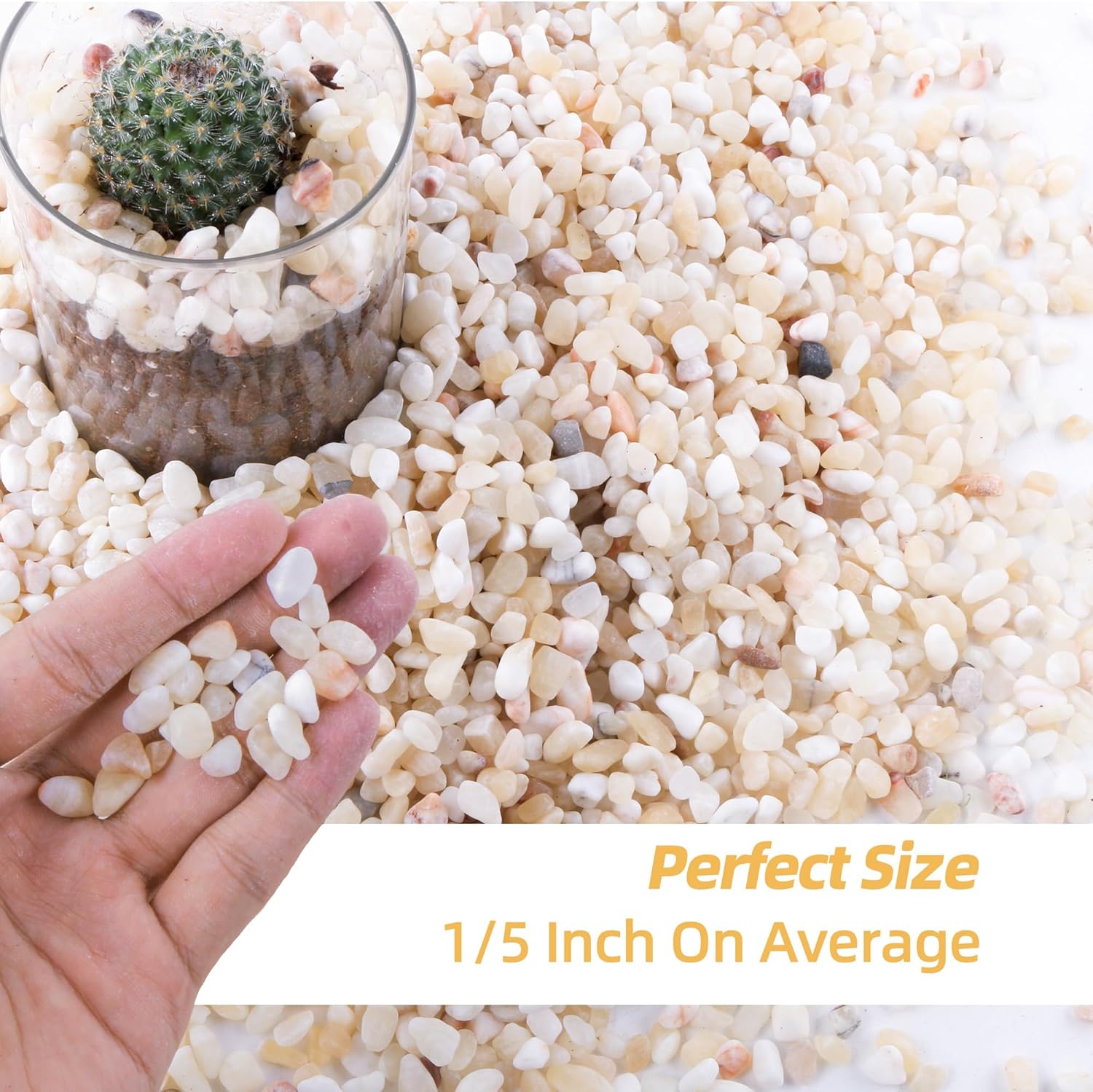CJGQ 2.4lb Aquarium Gravel for Plants, 1/5Inch Outdoor Decorative River Rocks for Succulents and Cactus Landscaping, Garden Plant Rocks Natural Small Rocks Pea Gravel for Fish Tank Vases Terrarium
