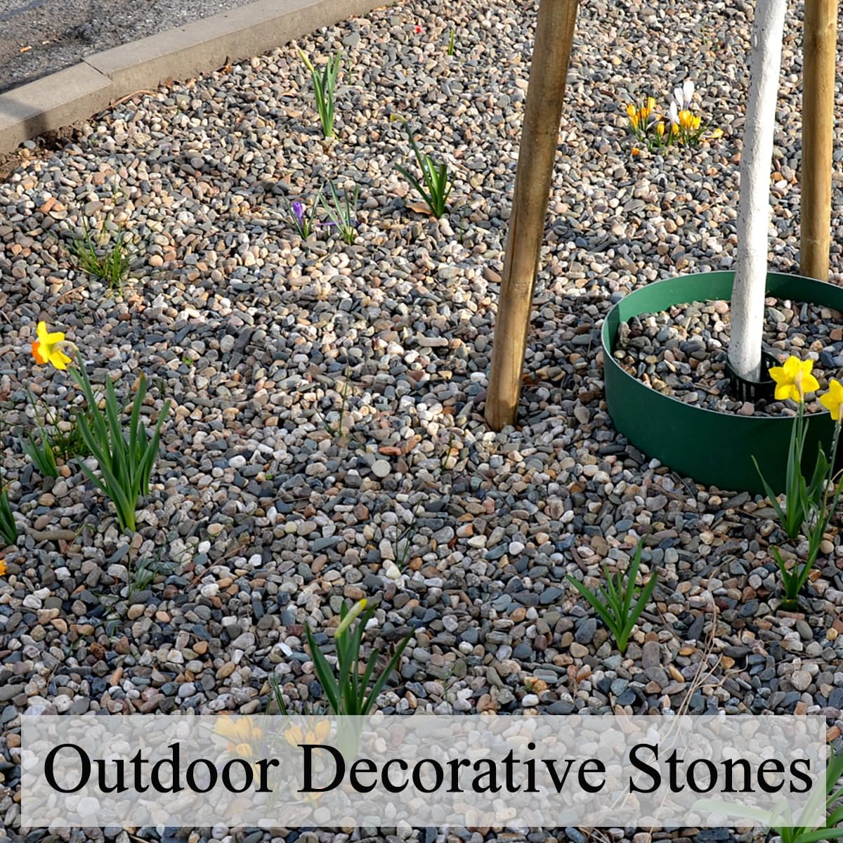 20 lbs Pea Gravel Pebbles for Indoor Plants, 2/5 Inch Mixed Color River Rocks for Aquarium, Succulent, Vase, Bonsai, Garden, Plant Soil Cover and Outdoor Landscaping Rocks