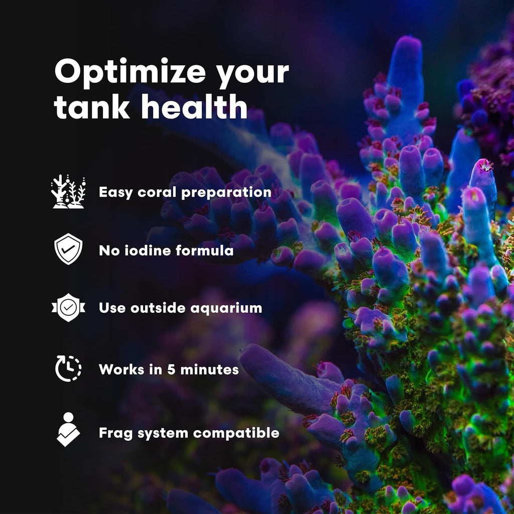 Brightwell Aquatics Koral MD Coral Dip – Plant-Based Cleaner and Conditioner for SPS LPS Soft Corals Zoanthids Anemones – Prevents Unwanted Substance Transfer, 125 ml