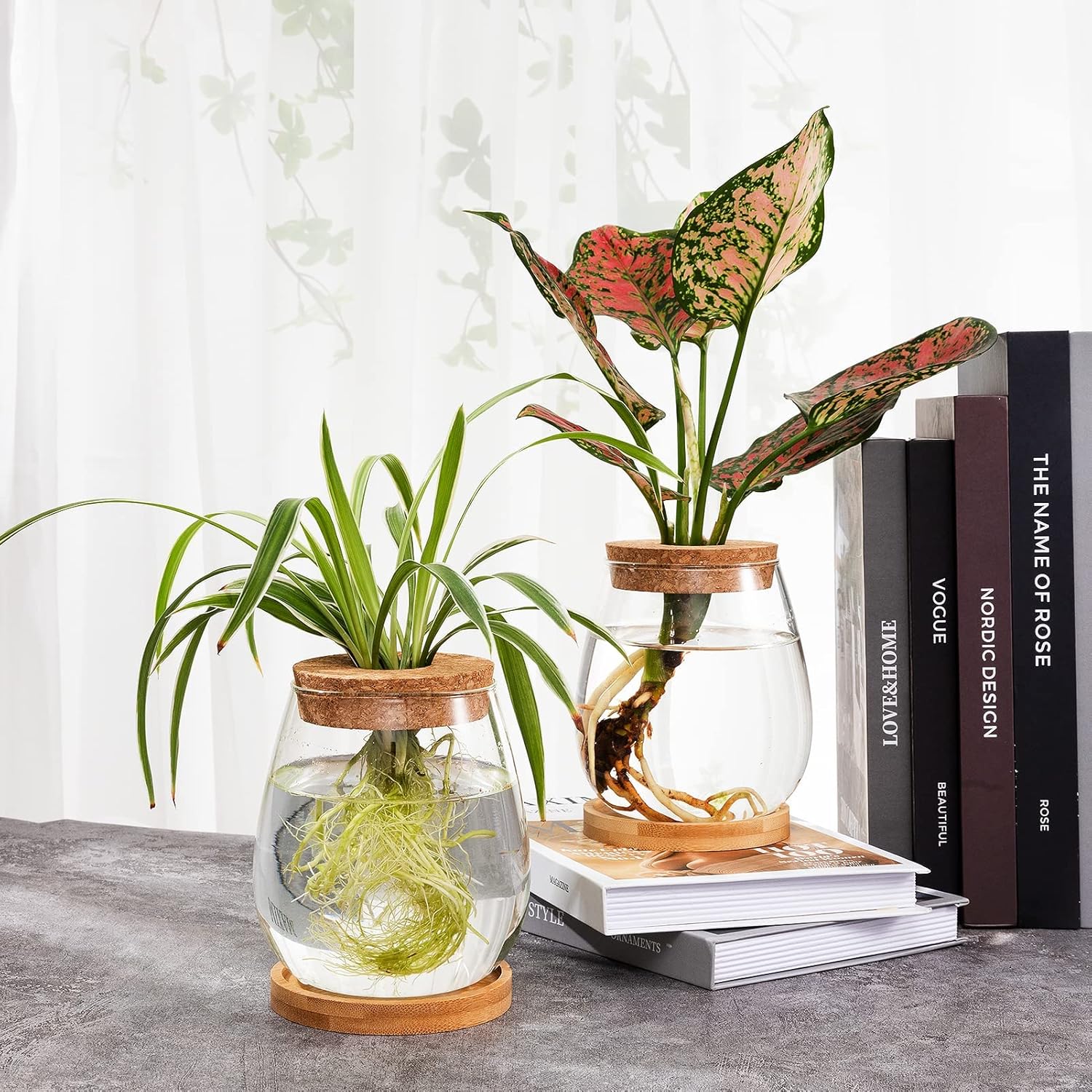 Biggun Plants Propagation Station - 2Pcs Desktop Plant Terrarium Glass Hydroponic Vases, Water Plant Jars, Gardening Gifts for Women Mom Plant Lovers (Water Drop Shape, Separated Tray Style)