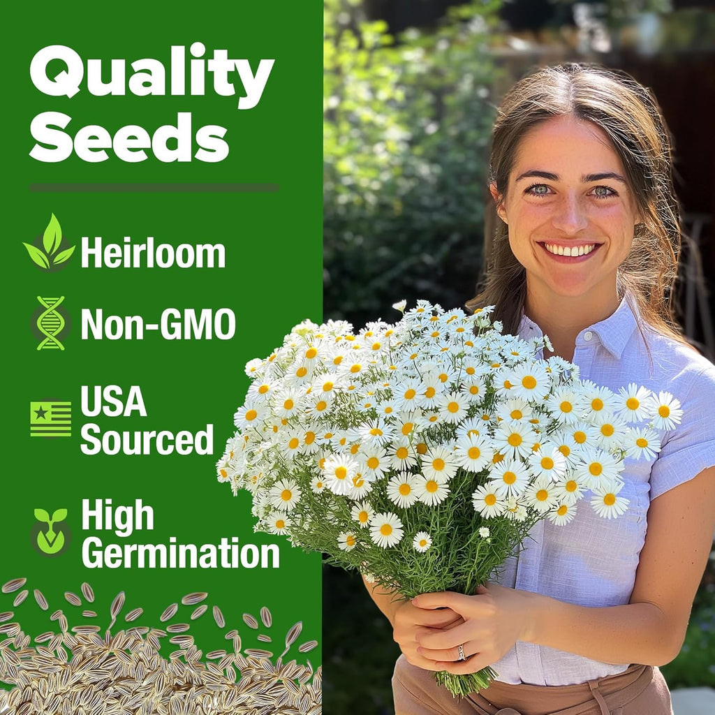HOME GROWN German Chamomile Seed Pack – 4,560 Heirloom Seeds for Planting for Sustainable Gardens and Soothing Medicinal Herbal Teas (Matricaria chamomilla)