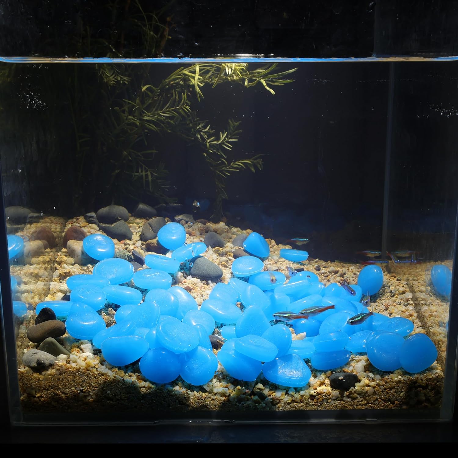 Oubest Fish Tank Rocks Glow Blue/Glow in The Dark Pebbles for Garden/Fish Tank/Aquarium/Plant Pots/Bonsai Walkway/Driveway 200pcs