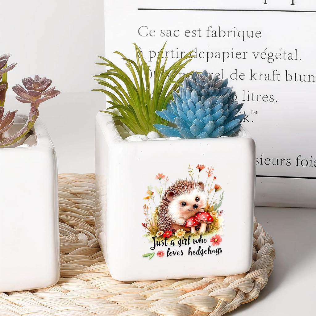 Hedgehog Succulent Planter Flower Plant Pot Small, Gifts for Women Teens Girls Kids, Hedgehog Lovers Themed Stuff Accessories Things Decor Merch, Home Office Table Desk Decoration!