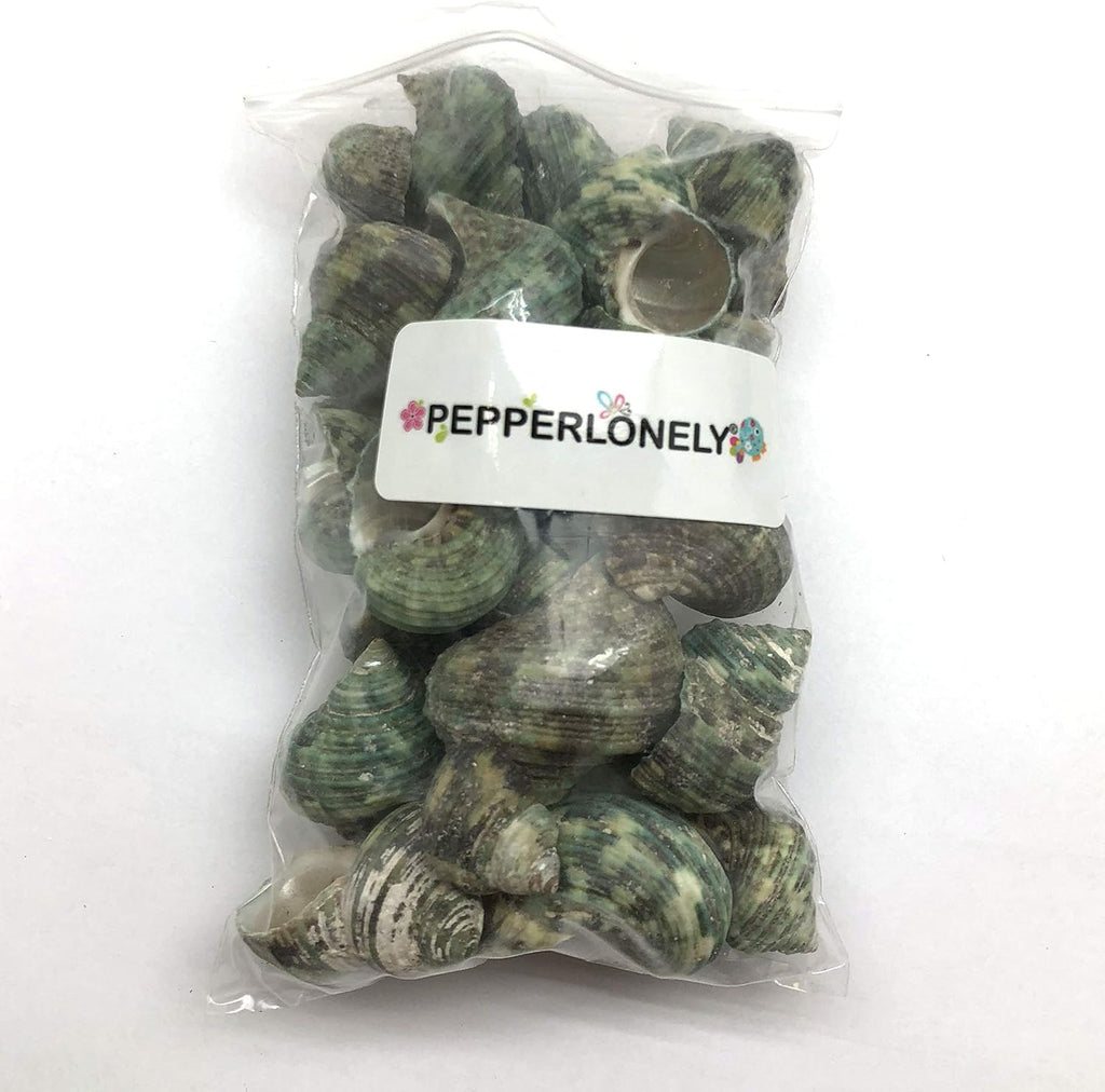 PEPPERLONELY Silver Mouth Green Turbo Hermit Crab Sea Shells, 8 OZ Apprx. 4/3 Inch ~ 1-4/3 Inch