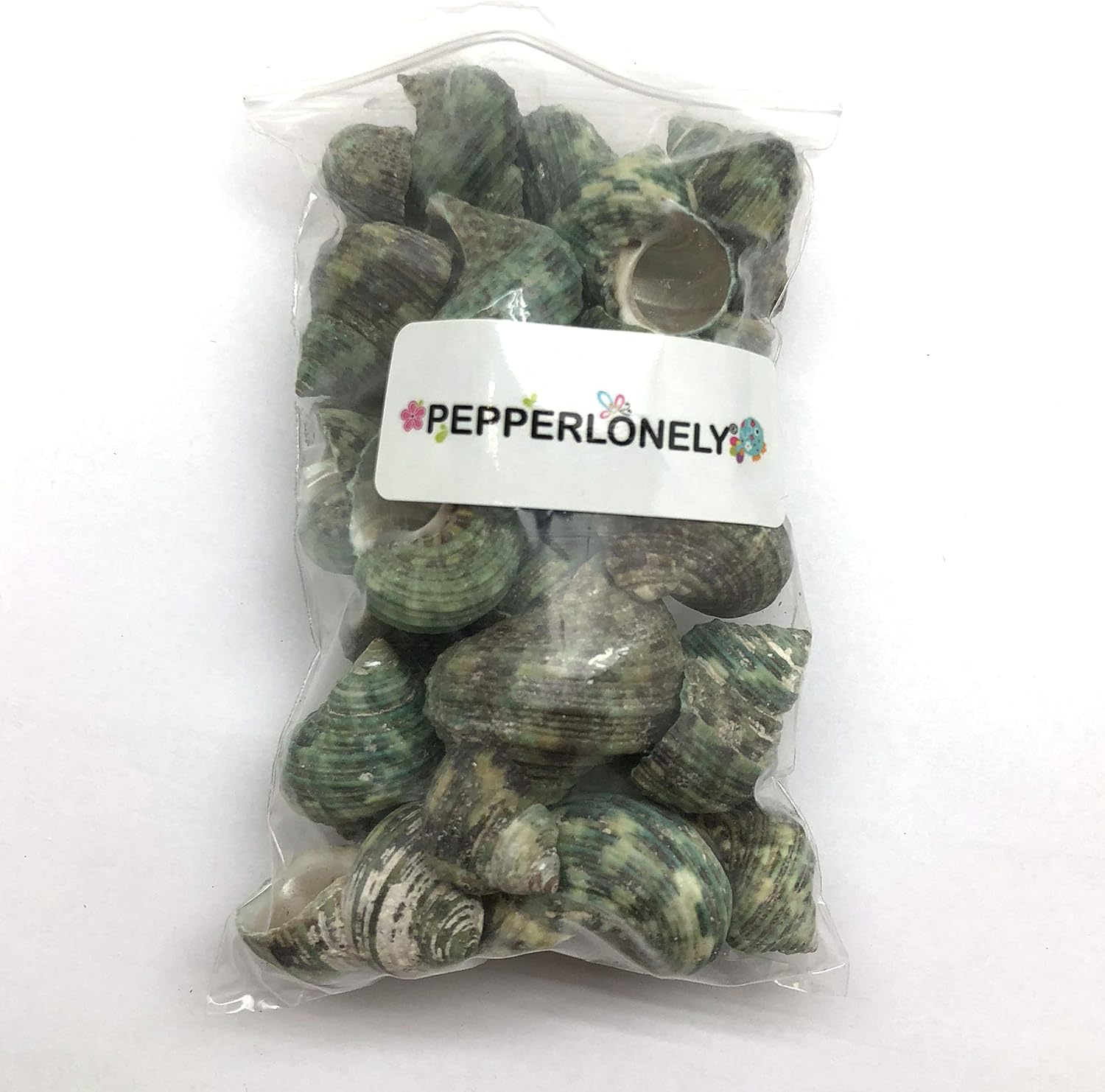 PEPPERLONELY Silver Mouth Green Turbo Hermit Crab Sea Shells, 8 OZ Apprx. 4/3 Inch ~ 1-4/3 Inch