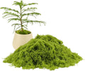Caiyjhao Green Simulation Moss, Forest Filiform False Grass, Used to Make Landscape, Wall, Easter, Artificial Green Plant Decoration, Any DIY Crafts, (Light Green 3.5oz)