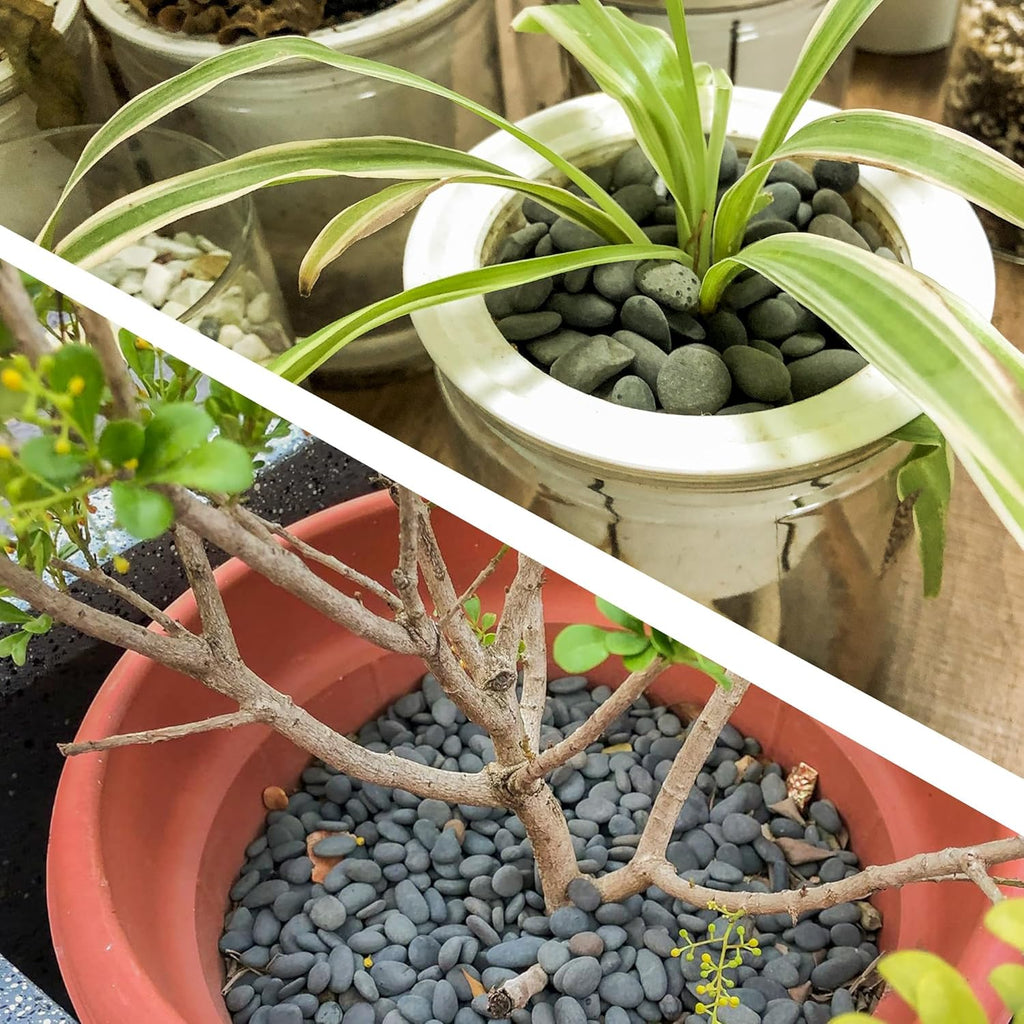 CJGQ 18lb Black Rocks for Plants, Decorative River Rocks for Succulents Cactus Garden Landscaping Outdoor, Mexican Beach Pebbles Aquarium Rocks Gravel for Fish Tank Terrarium