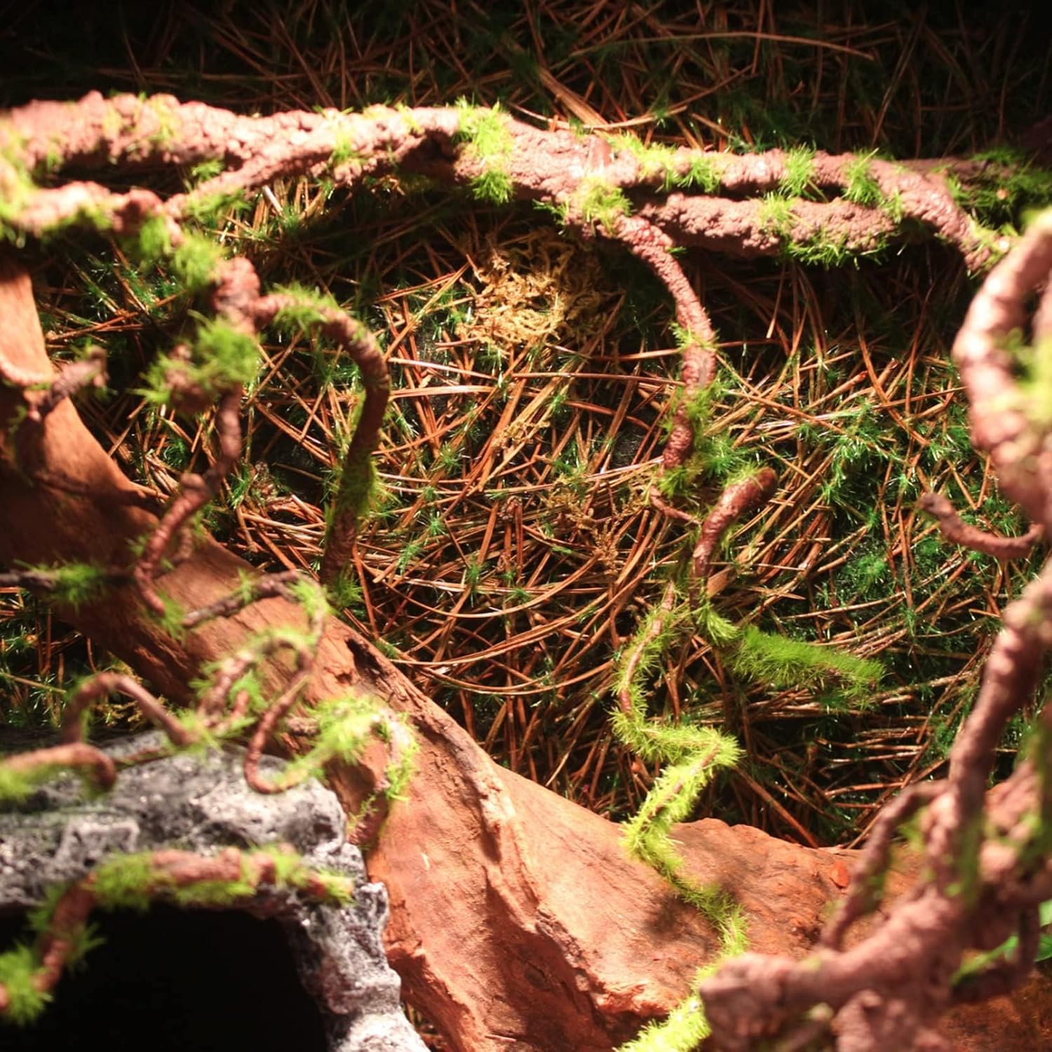 BNOSDM Reptile Bend-A-Branch Vines with Moss,Bendable Reptile Jungle Vines,Bearded Dragon Climbing Plants Tank Accessories,Pet Habitat Decor for Chameleon Geckos Snakes Lizards Frogs