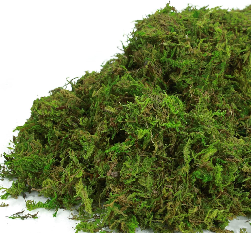 BYHER Fake Moss for Plants Indoor, 16OZ Green Moss for Crafts, Artificial Moss for Faux Plant Fairy Garden Table Centerpieces Wedding Decor,1LBS Fresh Green Craft Moss