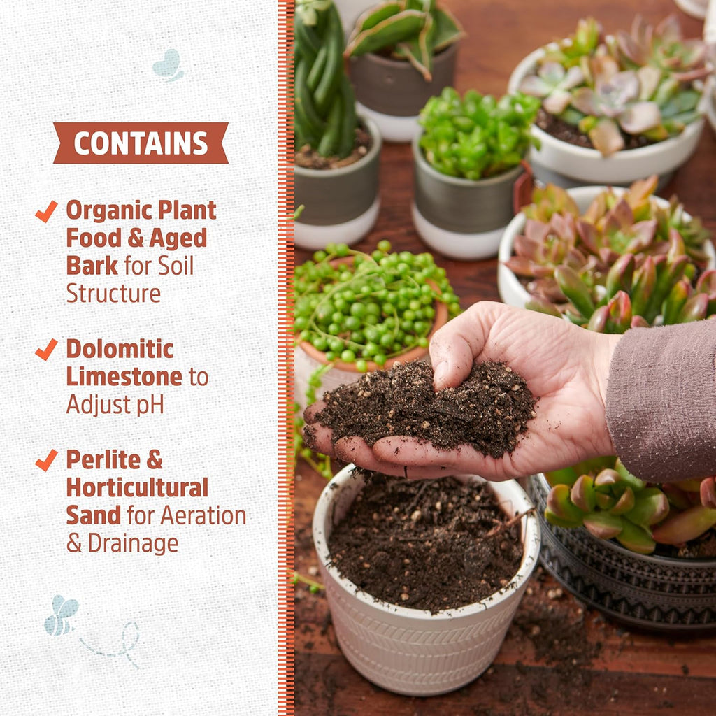 Back to The Roots 100% Organic Succulent & Cacti Mix (Value 12 Quart) | Made in The USA