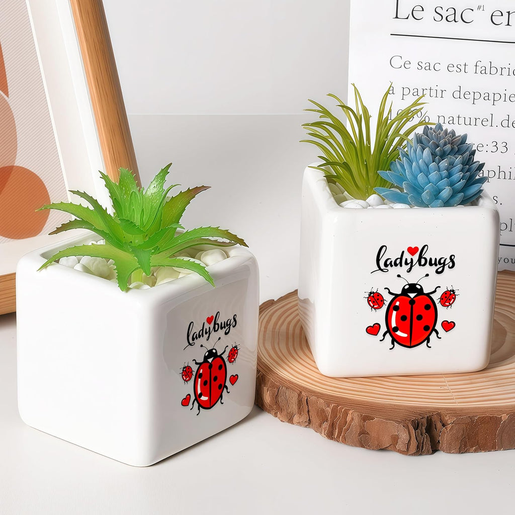 Ladybugs Succulent Planter Flower Plant Pot Small, Gifts for Women Teens Girls Kids, Ladybugs Lovers Themed Stuff Accessories Things Decor Merch, Home Office Table Desk Decoration!