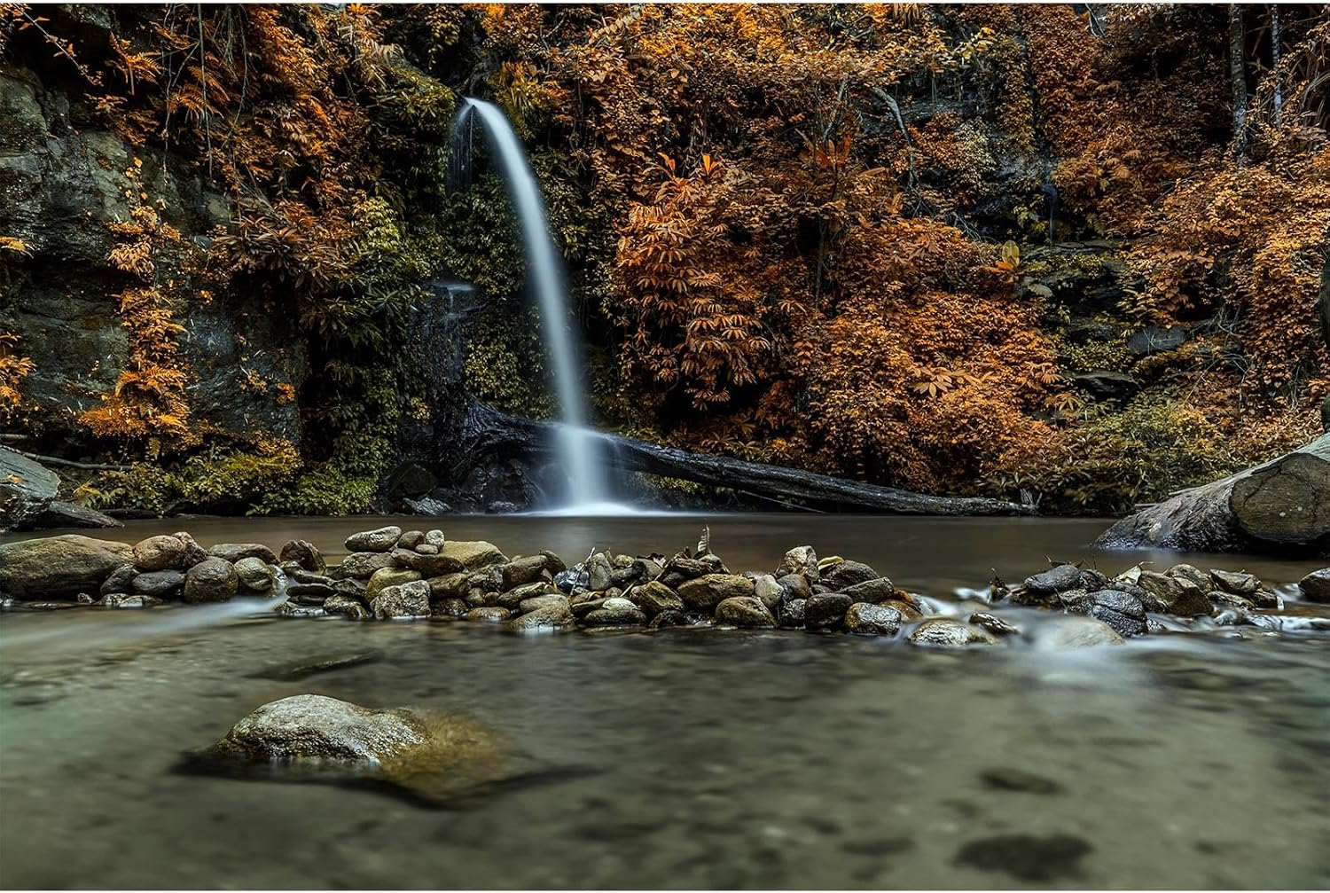 Waterfall Aquarium Background Natural Autumn Forest Yellow Leaves Landscape Terrarium Background Tranquil Lake Stream with Rocks Fish Tank Background Falls Theme Aquarium Backdrop Vinyl 60x24in