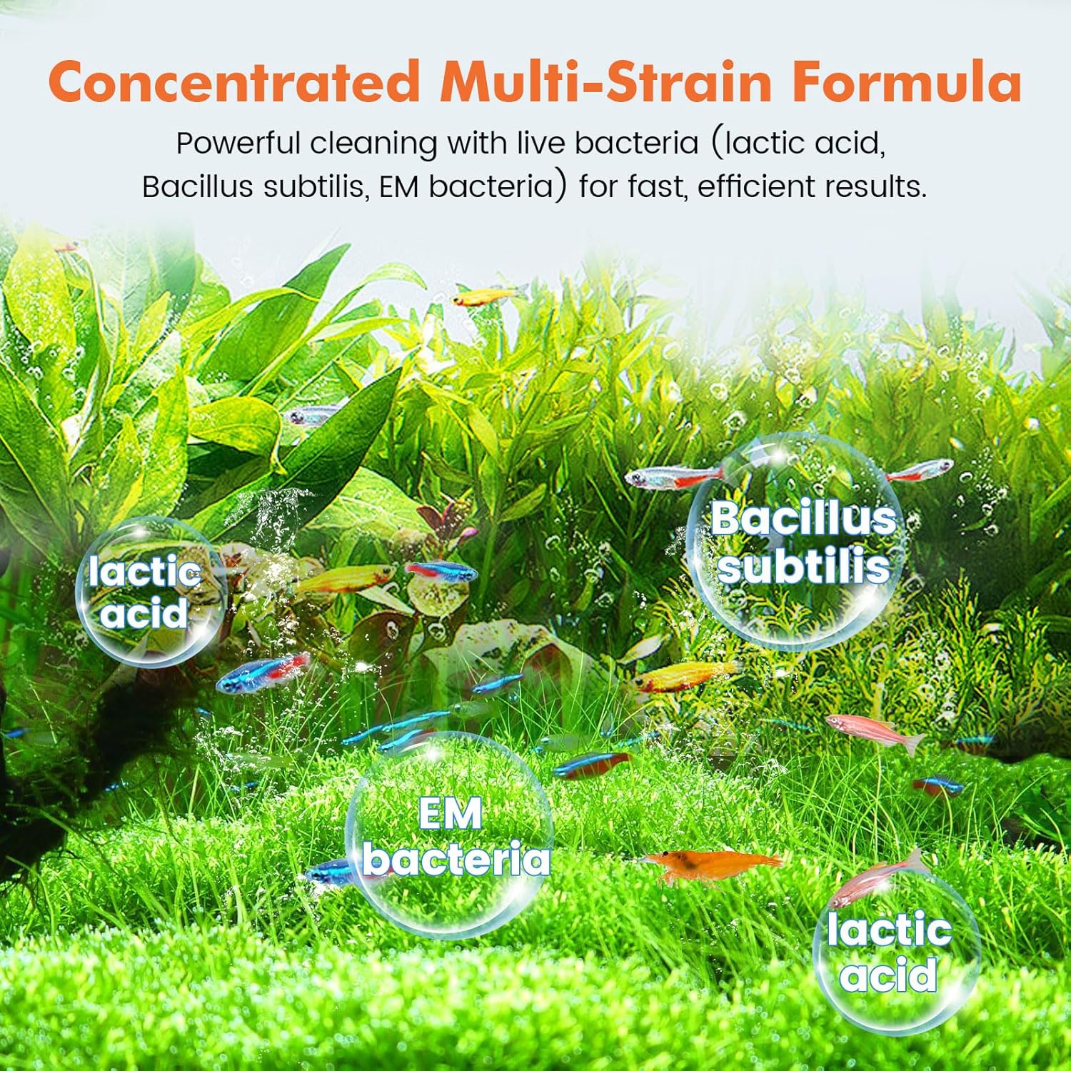 hygger Aquarium Water Bio-Clarifier, Reducing Fish Waste and Cleaning Organic Sludge, Natural Fish Tank Aquarium Leave-in Waste Management Solution for Freshwater and Saltwater Tanks, 300 ML