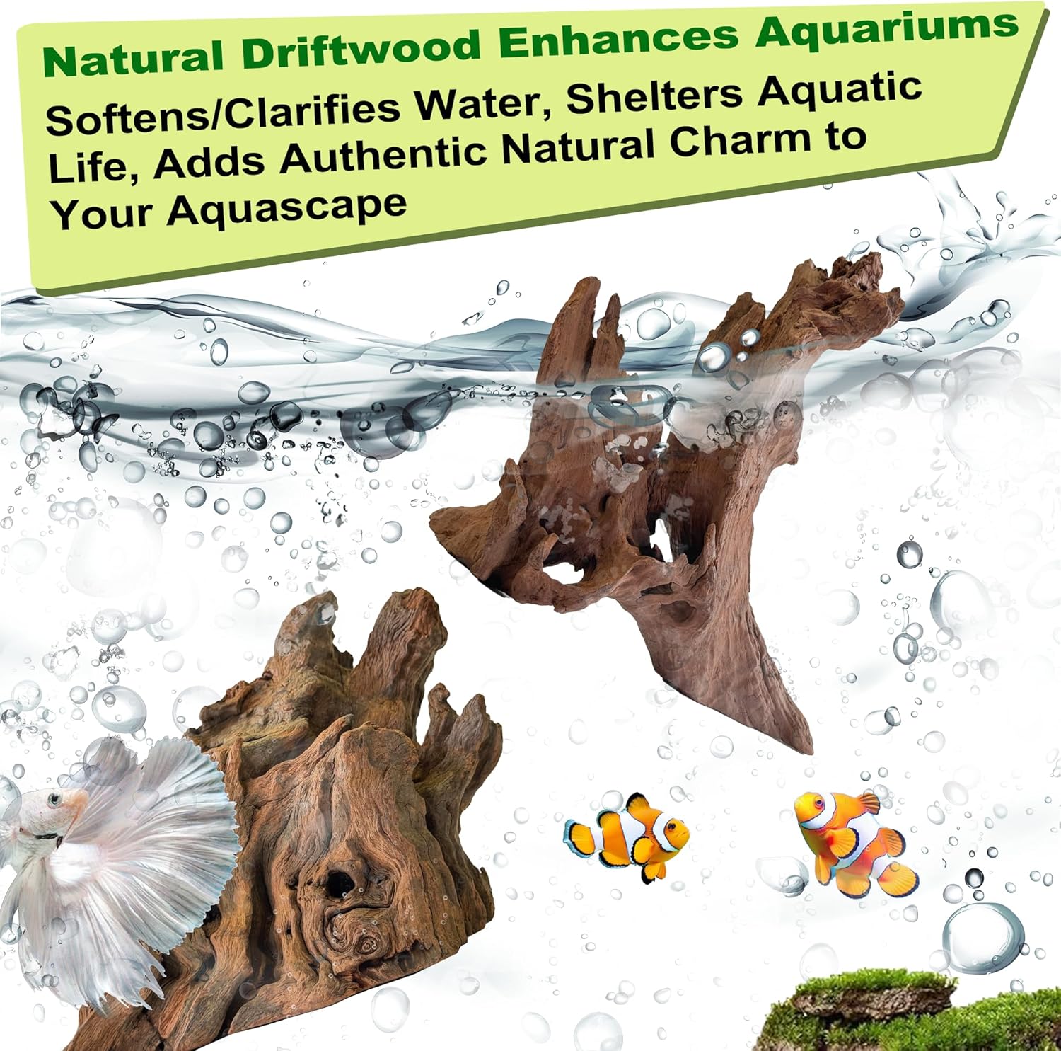 Natural Driftwood for Aquarium Decor,Reptile Habitat&Home DIY Decor,Naturally Unique Shapes Weathered Wood,Easy to Use S-(6-8 Inch/1.1-1.3 Lbs)-Pack of 2