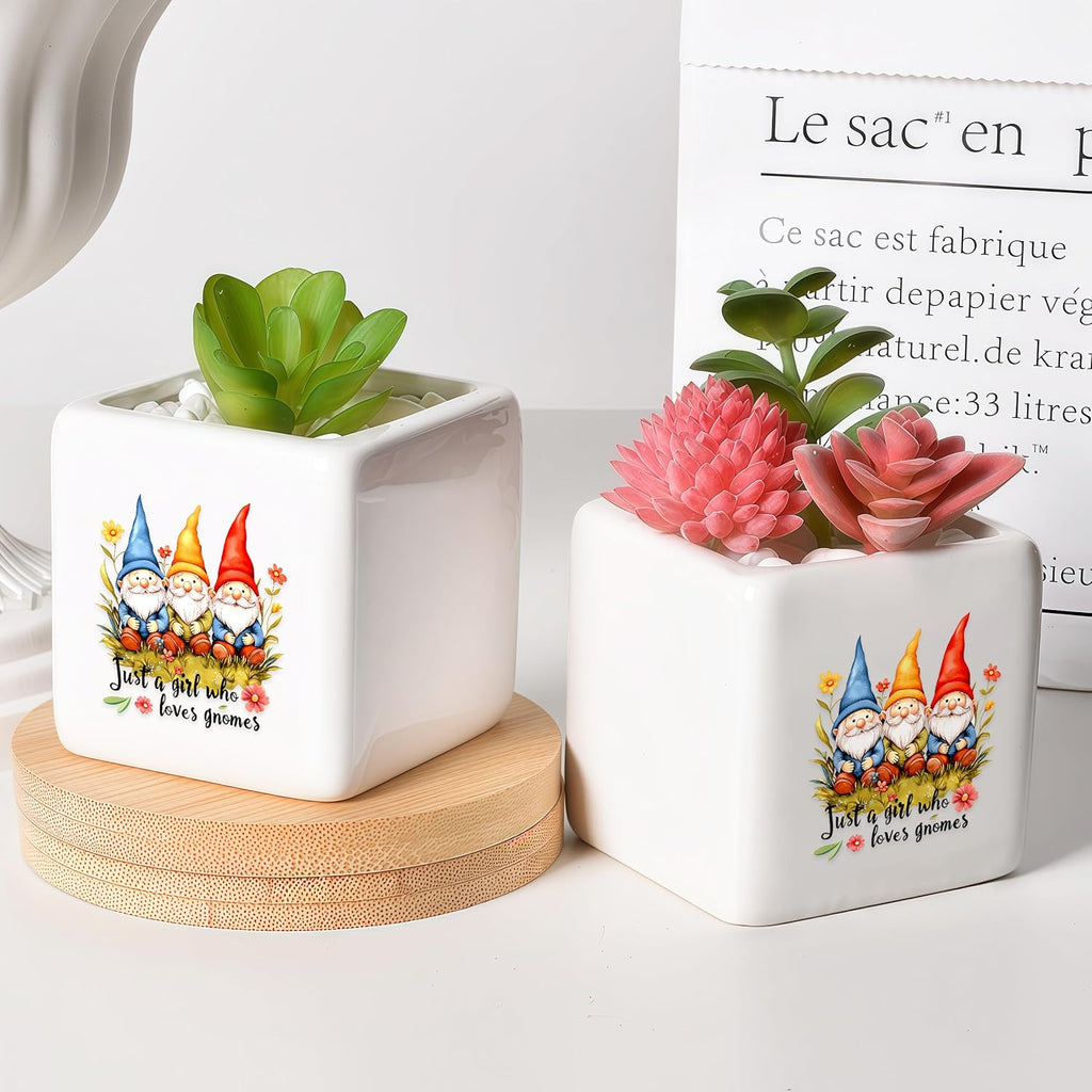 Gnomes Succulent Planter Flower Plant Pot Small, Gifts for Women Teens Girls Kids, Gnomes Lovers Themed Stuff Accessories Things Decor Merch, Home Office Table Desk Decoration!