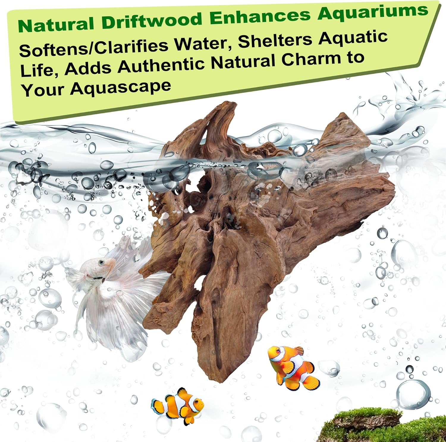 Natural Driftwood for Aquarium Decor,Reptile Habitat&Home DIY Decor,Naturally Unique Shapes Weathered Wood,Easy to Use S-(6-8 Inch/0.9-1.3 Lbs)-Pack of 1