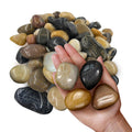 40 lbs Natural Polished River Rocks, 2-3 Inch Mixed Color Decorative Pebbles for Landscaping, Aquarium, Succulent Drainage, Plant Vase & Garden Decor (colorful-40LB)