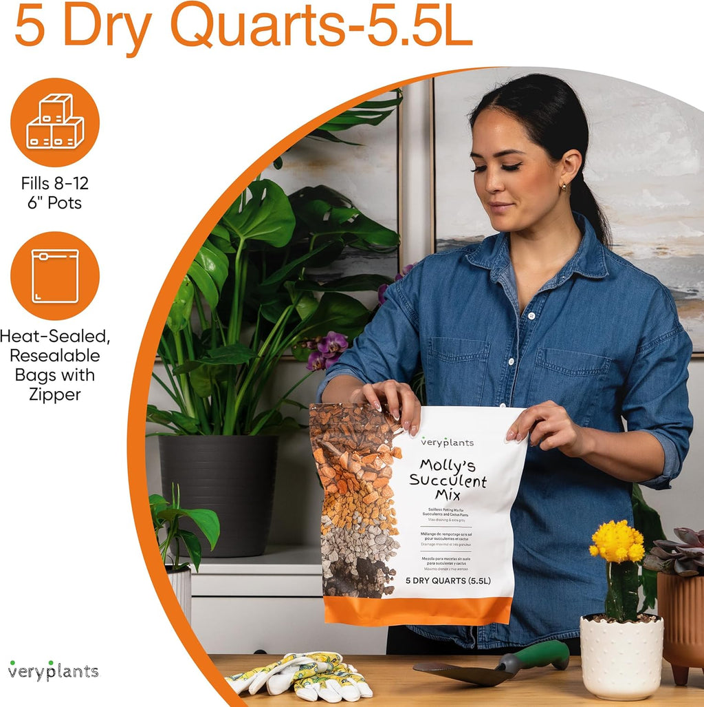 Molly's Succulent Mix - Premium Gritty Soilless Potting Mix for Succulents, Cactus and Bonsai - Contains Akadama, Hyuga, Bark Fines, Pumice, Lava Rock, Mycorrhizae 5 Dry Quarts