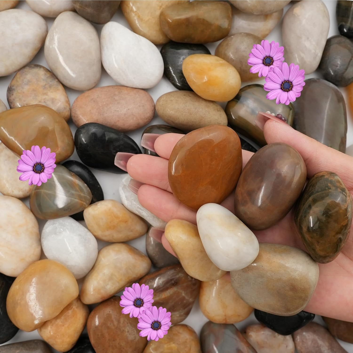 NUPICK 3lb River Rocks for Plants Indoor, 1-2Inch Mixed Pebbles for Vase Fillers, Decorative Gravel for Fish Tank, Natural Polished Stones for Succulent, Bonsai, Landscaping, Bird Baths