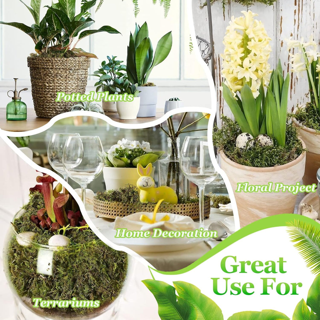 Riare 1.3LBS Artificial Fake Moss for Fake Plants Indoor- Premium Faux Craft Moss for Potted Plant, Fresh Green Moss Forest Moss for Hamsters Micro-Landscape Terrariums Centerpieces Decor