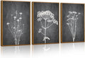 Tinonedraw Black and White Floral Framed Canvas Wall Art Set, Vintage Flower Wall Decor, Dark Academia Minimalist Botanical Art Paintings, Wildflower Art Print for Living Room Bedroom Office 16"x24"x3