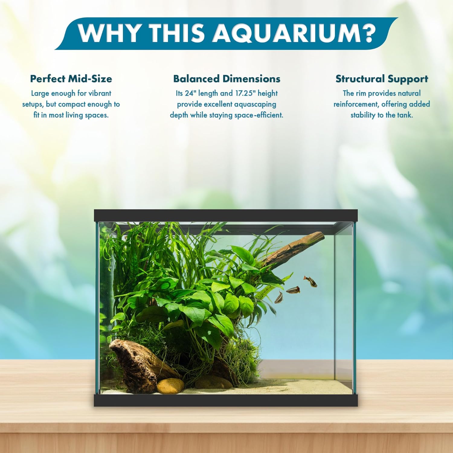 SubstrateSource 20 Gallon Glass Aquarium - 24 x 12.5 x 17.25 in - Large Clear Rectangular Rimmed Freshwater/Saltwater Fish Tank for Betta, Goldfish, Guppy, Shrimp for Home or Office Aquascaping