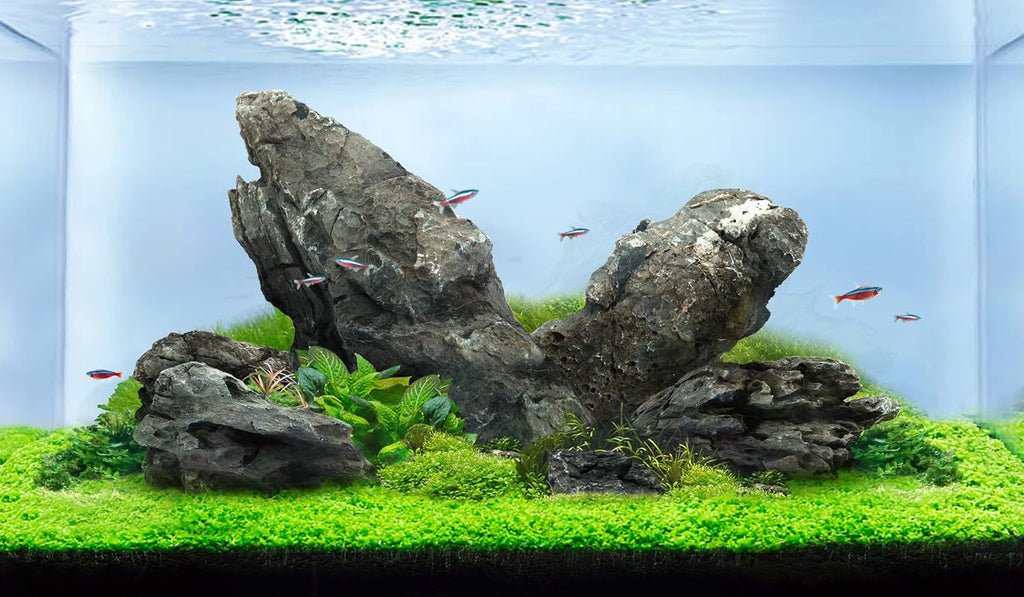 LANDEN Seiryu Stones Natural Rocks (17lbs, 3~11 inches,7-8pcs) for Aquarium, Paludarium, Terrariums, Landscaping Rocks, Aquascaping