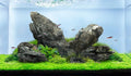 LANDEN Seiryu Stones Natural Rocks (17lbs, 3~11 inches,7-8pcs) for Aquarium, Paludarium, Terrariums, Landscaping Rocks, Aquascaping