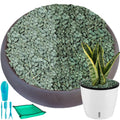 18 lbs Succulent and Cactus Bonsai Pebbles, 6-9mm Decorative Landscaping Stones Natural Garden Gravel Rocks for Indoor Outdoor Plants Aquariums DIY, and Gardening Top Dressing, Green Zeolite