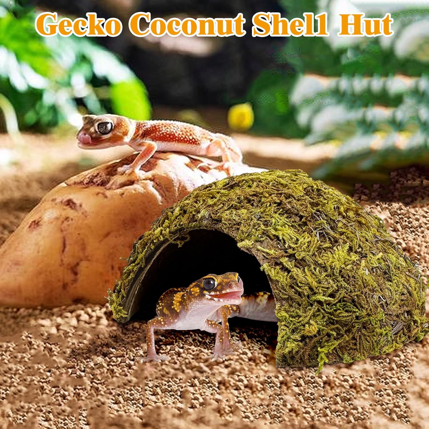PINVNBY 2 Pack Natural Green Moss Hide Caves Coconut Reptile Hideouts Hamster Climbing Toys Gecko Habitat Decor Lizard Shell Shelter for Snake Tarantulas Turtle Chameleon