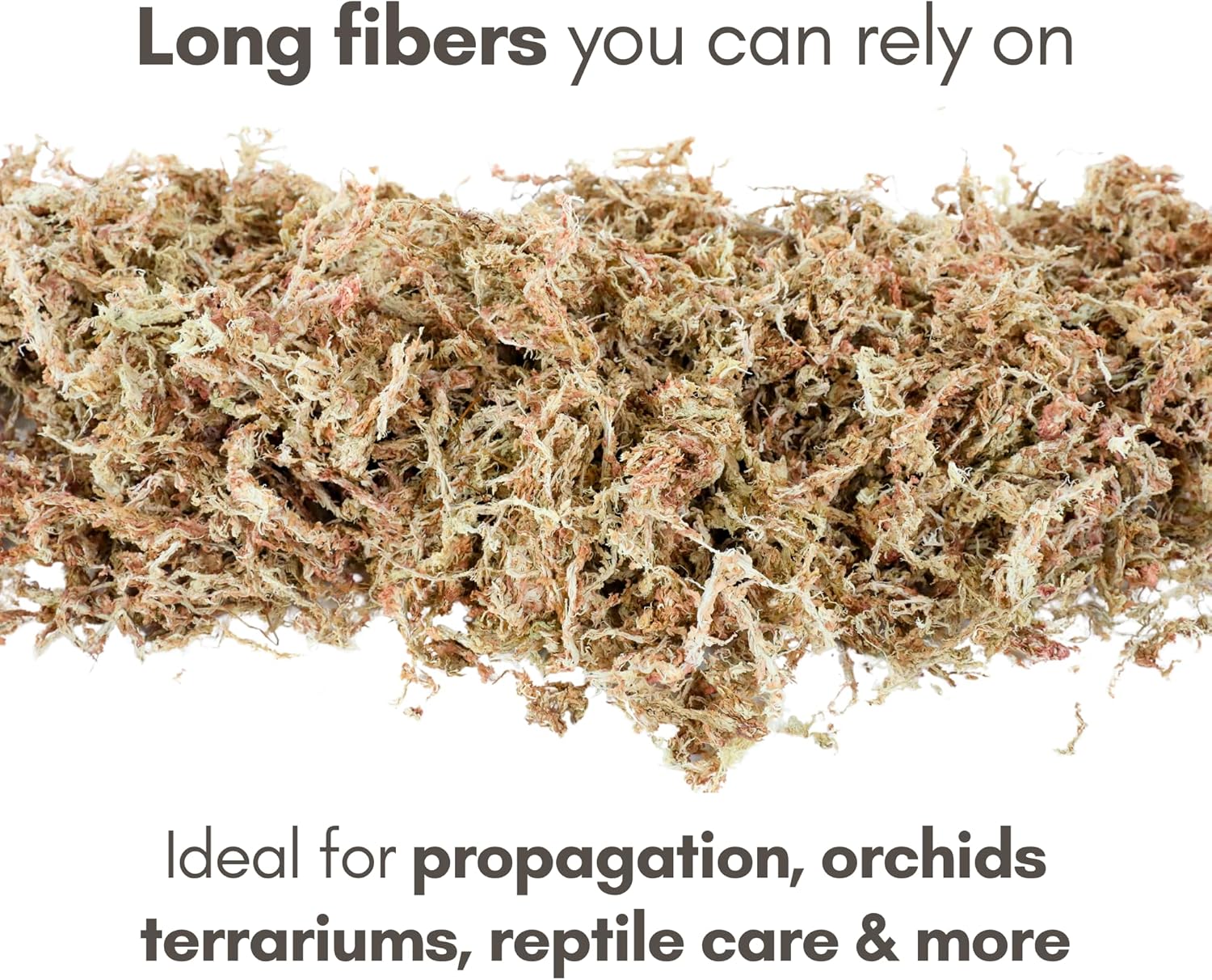 Mossify Premium Sphagnum Moss for Plants 150g, 5.3 Oz - Long Fiber Moss for Plants Indoor, Orchids, Terrariums, Gardening, Reptiles – Moisture Plant Moss for Propagation, Soil & Habitat Bedding