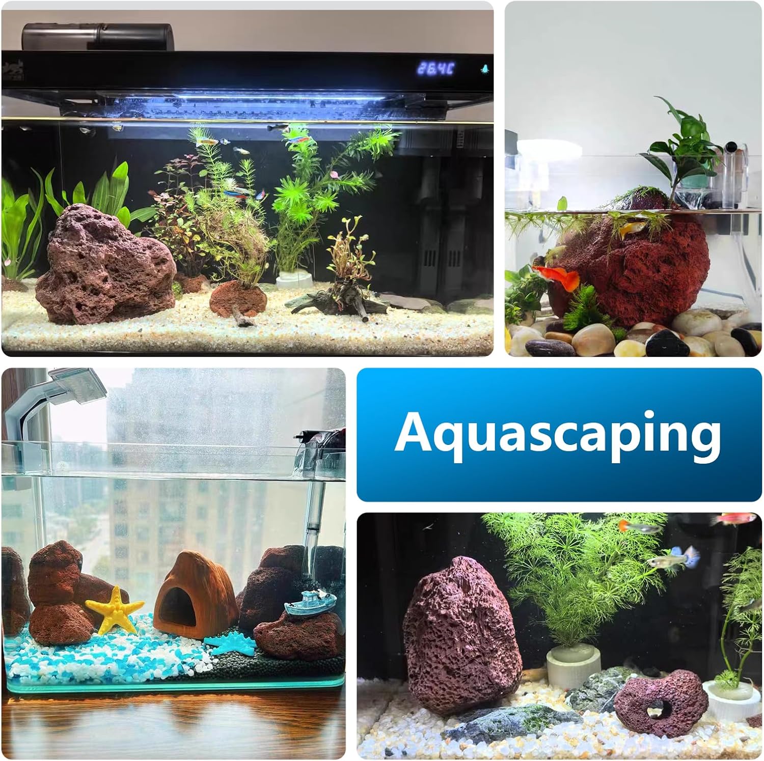 Red Lava Rock Natural Volcanic Stones 4"-6" Aquarium Rocks for Aquascaping,Aquarium Landscaping,Shrimp Tank,Terrariums & Decorative Landscaping-5lb 3pcs