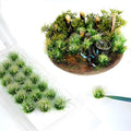 Warmtree 20 Pcs Static Grass Bushy Tufts Lowland Shrubs Scenery DIY Miniature for Train Landscape Railroad Scenery Sand Military Layout Model War Gaming Terrain(Withered)