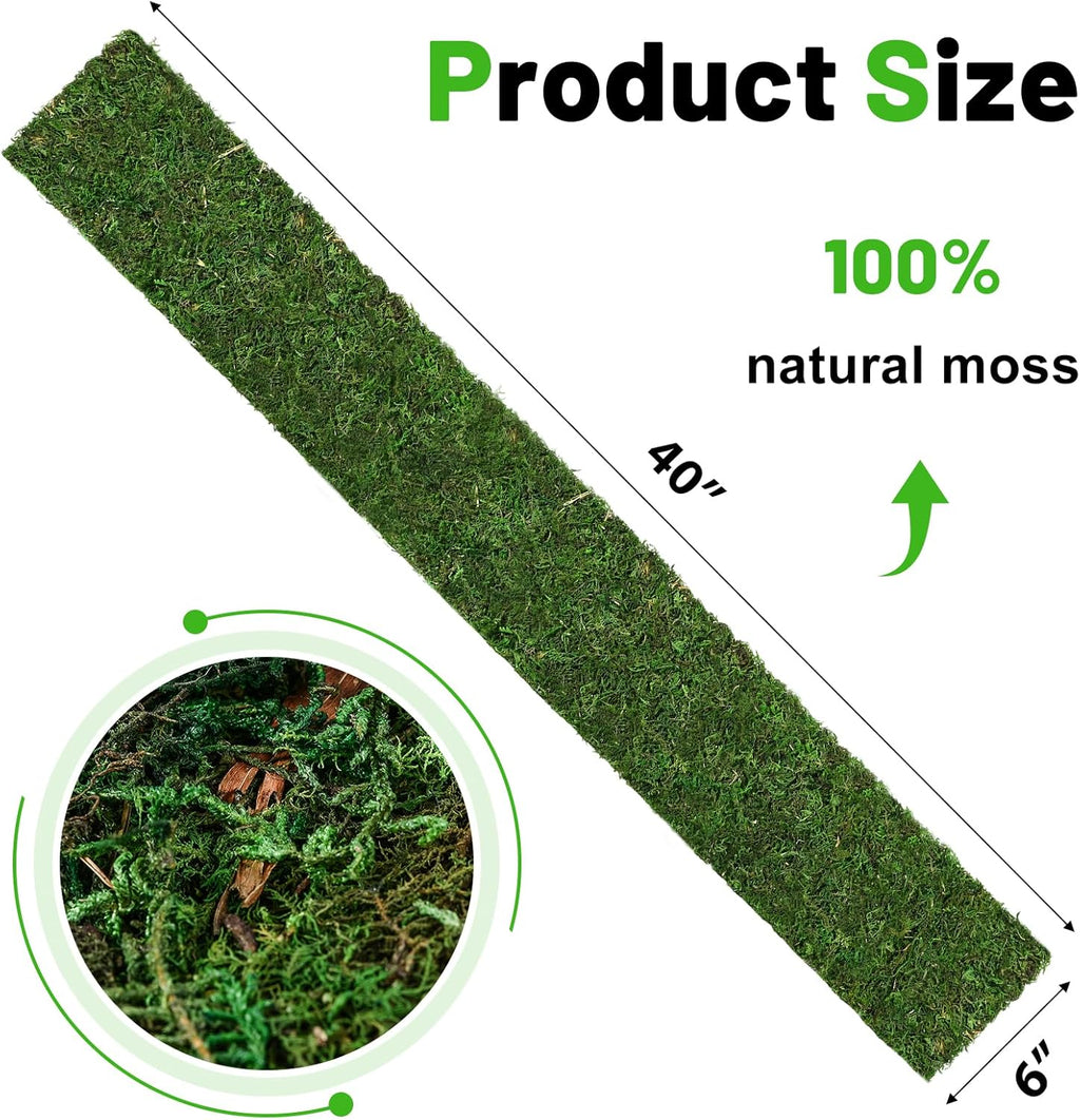 40'' x 6'' Moss Roll, Dried Moss Table Runner Green Moss Sheet for Crafts Preserved Moss Mat for Table Decoration Fairy Wedding Party Woodland Garden Decor