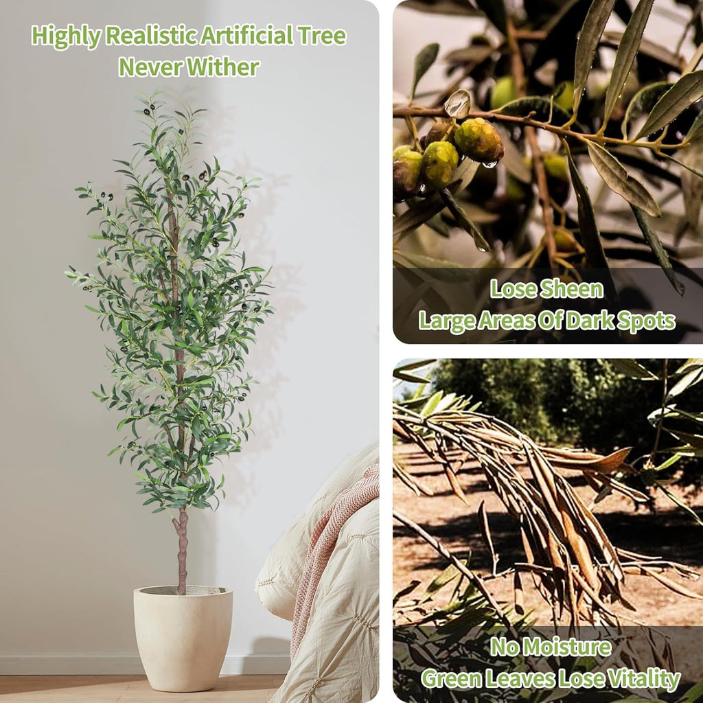 Artificial Olive Tree, 8FT Tall Faux Olive Trees 96in Outdoor Fake Potted Silk Plant with Trunk and Realistic 1574 Leaves and 48 Fruits for Modern Office Home Decor Indoor（1pack）