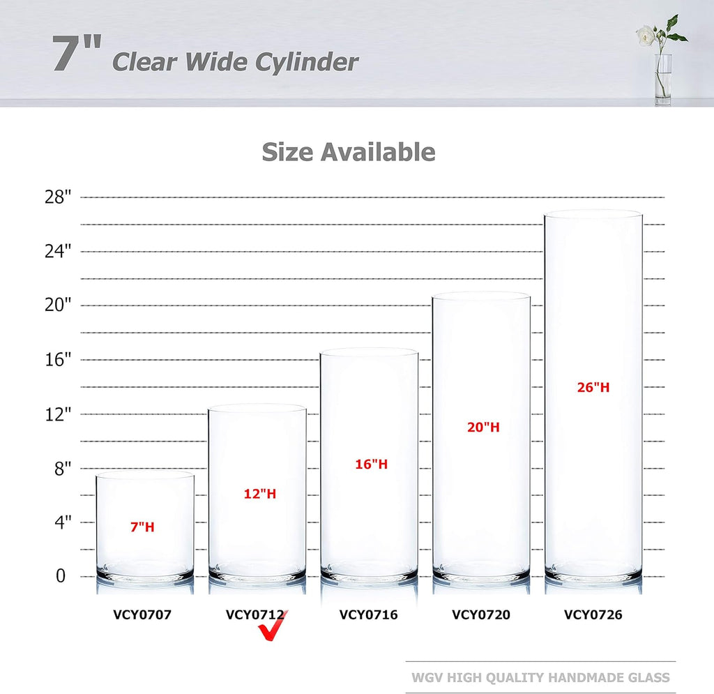 WGV Cylinder Vase, Width 7", Height 12", Clear Wide Large Diameter Flower Glassware, Floral Container, Planter Terrarium for Wedding Party Event, Home Accent Decor, 1 Piece