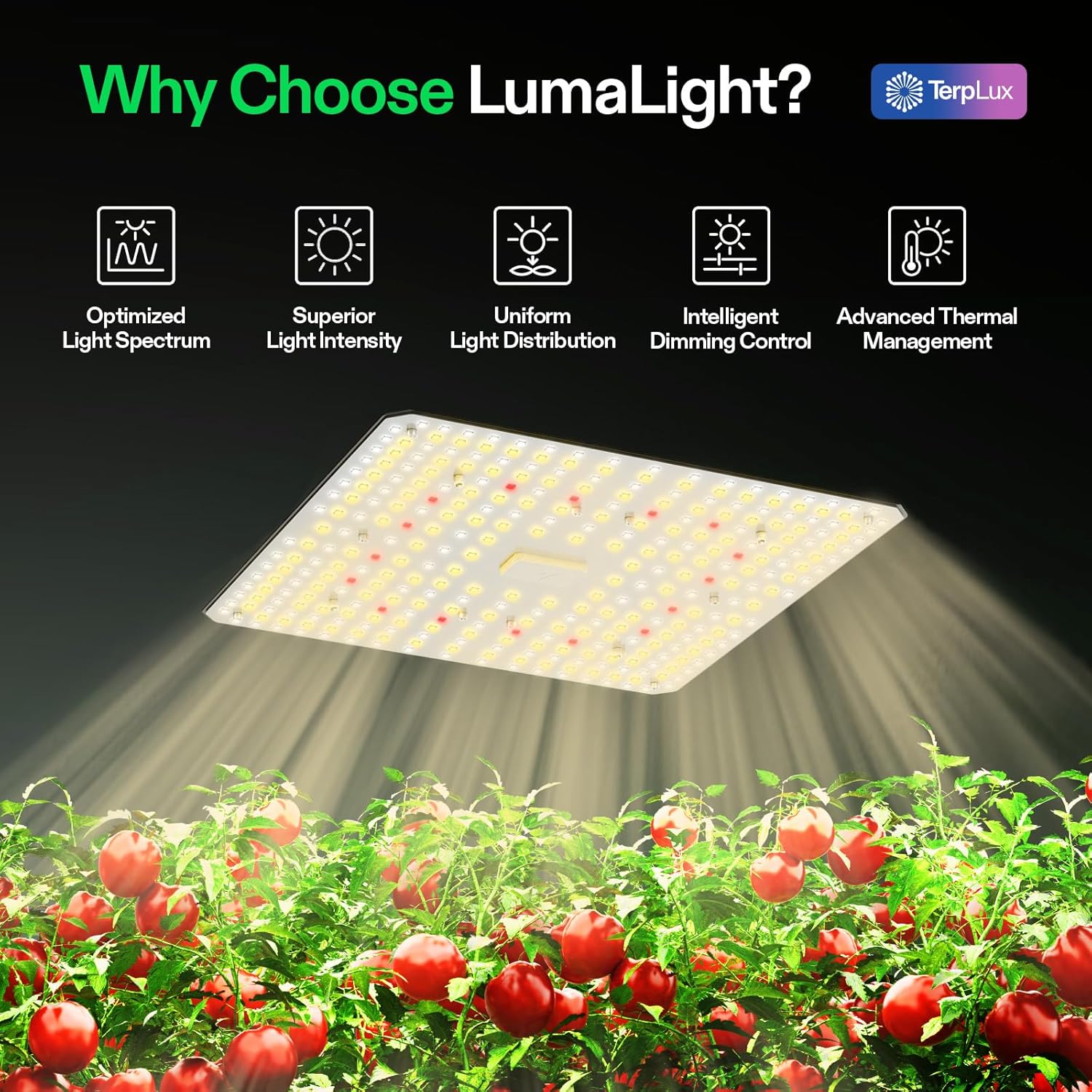 VIVOSUN VS1000 LED Grow Light with Full Spectrum Diodes & Sosen Driver Dimmable Lights Sunlike for Indoor Plants Seedling Veg and Bloom Lamps for 2x2/2x4 Tent