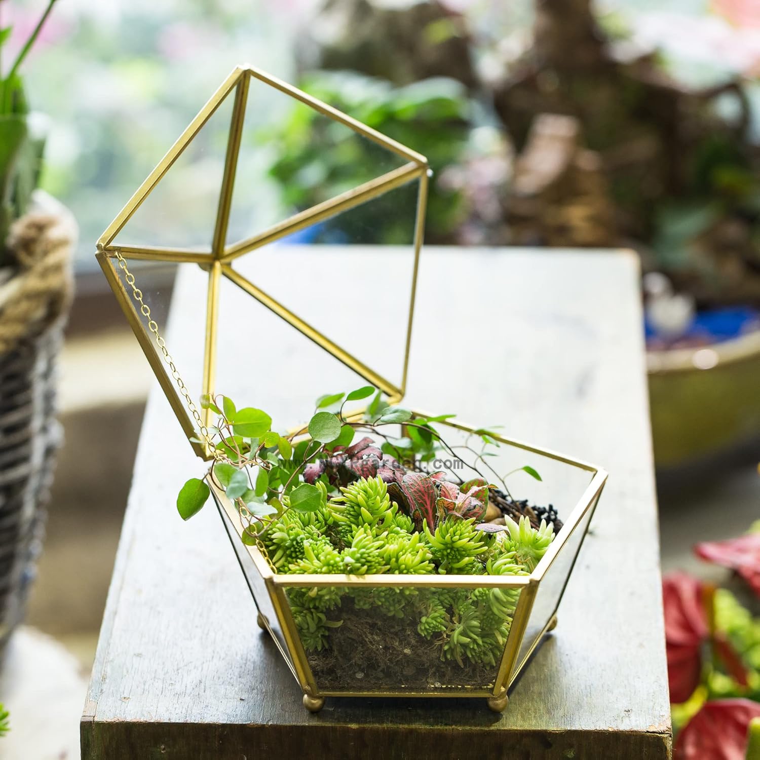NCYP Small Geometric Vintage Glass Jewelry Box, Gold Succelent Plants Terrarium with Swing Lid, Pentagon Shape Clear Metal Brass Display Planter for Wedding Decoration (No Plants, Terrarium Only)