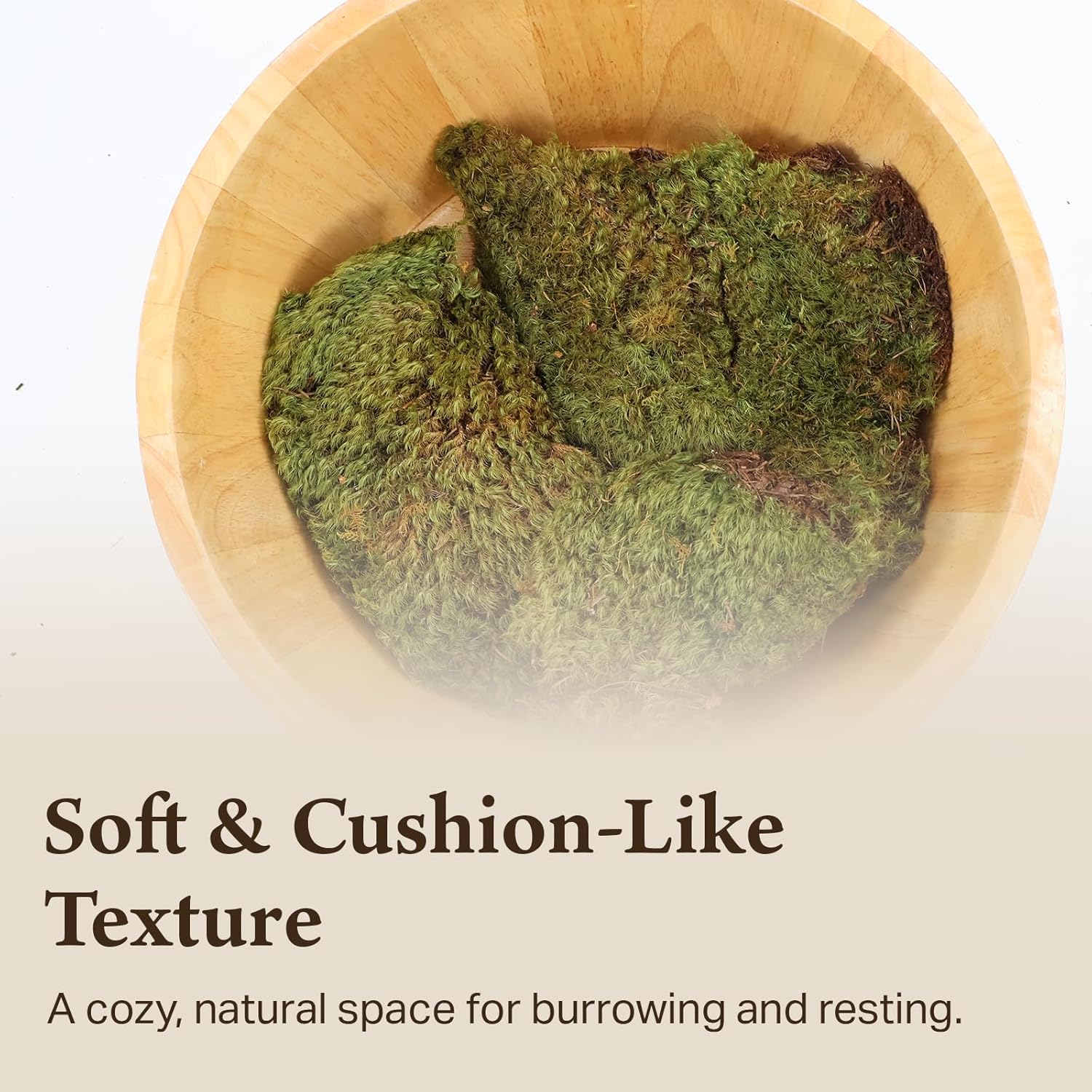 The Habitat Life - Natural Mood Moss - for Reptiles, Amphibians & Invertebrates Terrariums - Moisture-Retaining - Humidity Control - Soft Bedding - Dye-Free & Safe - Small - 2 Pack