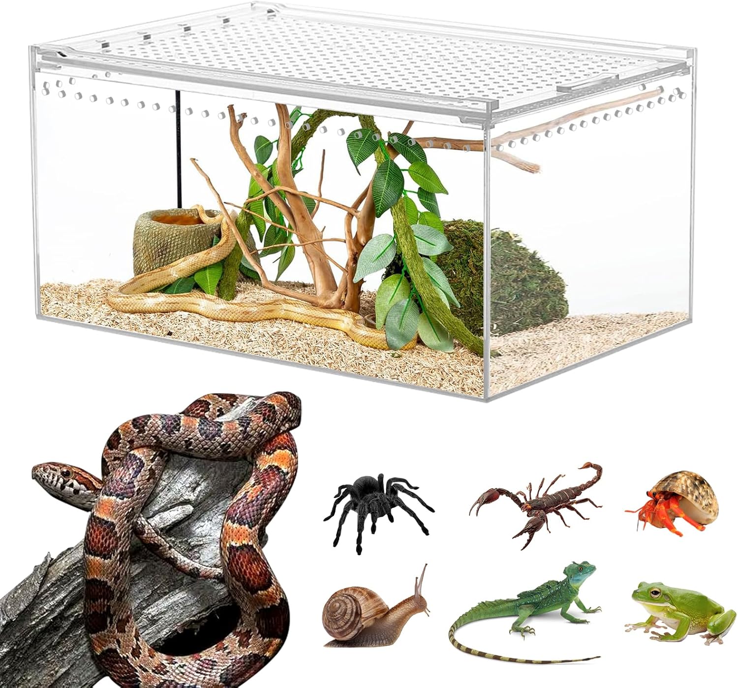 Reptile Tank Enclosure with Magnetic Button.12*8*6"Thicken Snake Enclosure Cage,Cross Ventilation Reptile Terrarium,5 Gallon Acrylic Enclosure Tarantula Enclosure for Snake,Hermit Crab,Frog,Tortoise