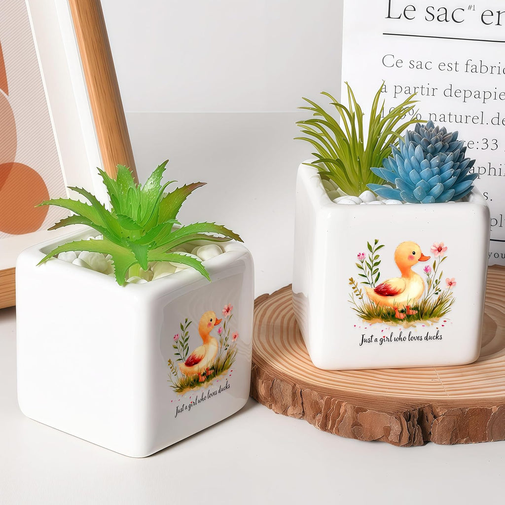 Duck Succulent Planter Flower Plant Pot Small, Gifts for Women Teens Girls Kids, Duck Lovers Themed Stuff Accessories Things Decor Merch, Home Office Table Desk Decoration!