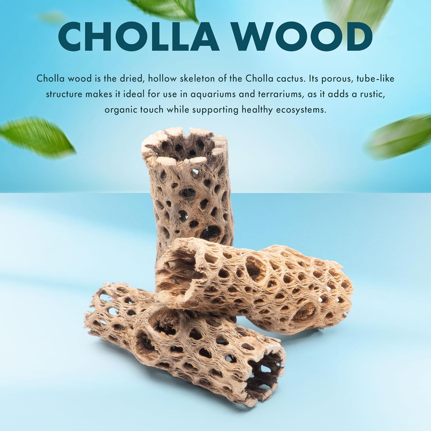 SubstrateSource Natural Cholla Wood - Driftwood for Aquariums, Air Plant Base, Hermit Crab and Freshwater Shrimp Hideout, Fish Tank Decoration, Chinchilla Chews, Reptile Habitat Wood - 4 Inch, 1pc