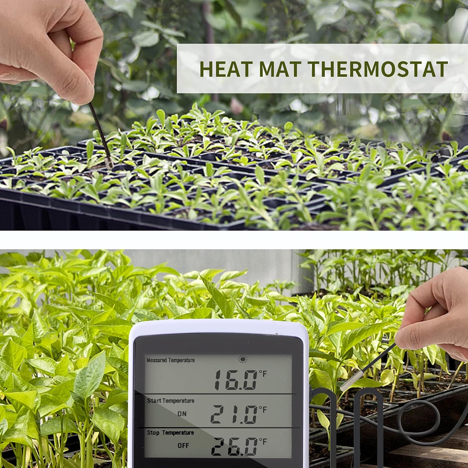 Thermostat Outlet Plug in Temperature Controller Heating Cooling Mode Timer for Fan Heater Greenhouse Home Brew Reptiles Incubate Aquatium