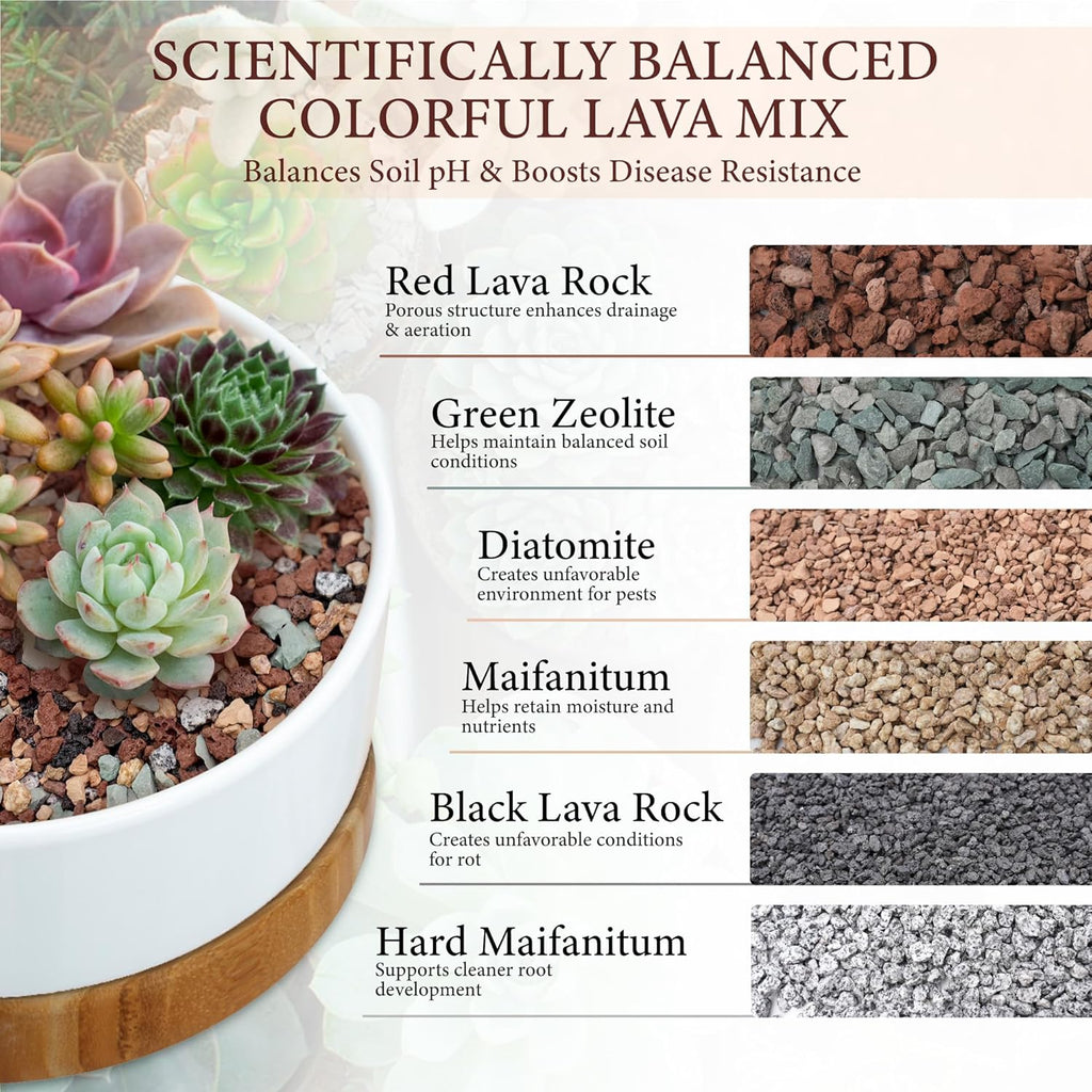 18LB Lava Rocks for Plants-3/8 Volcanic Rock for Succulent Potting Mix, Cactus, Orchids & Bonsai-Porous Horticultural Grit for Drainage, Aeration & pH Balance - Decorative Top Dressing