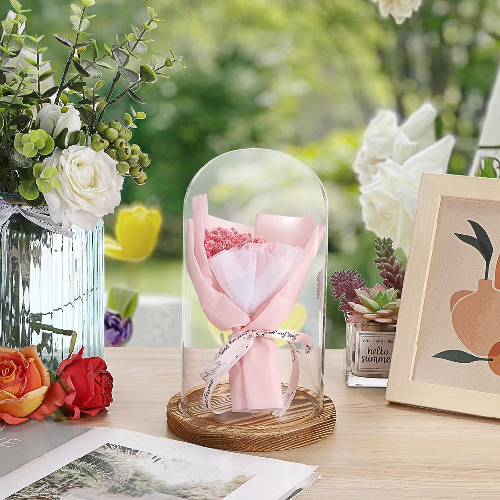 JUXYES Pack of 2 Glass Display Dome Cloche with Solid Wood Base, Clear Dome Bell Terrarium Jar Glass Cloche Bell Jar Display for Plants Collectible Figure