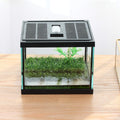 crapelles Small Glass Frog Terrarium Kit, 7.8x7.8x5.9'' for Tadpole, Amphibians, Insects Enclosure, Praying Mantis Habitat, with Green Artificial Turf Pad (excluding Animals)