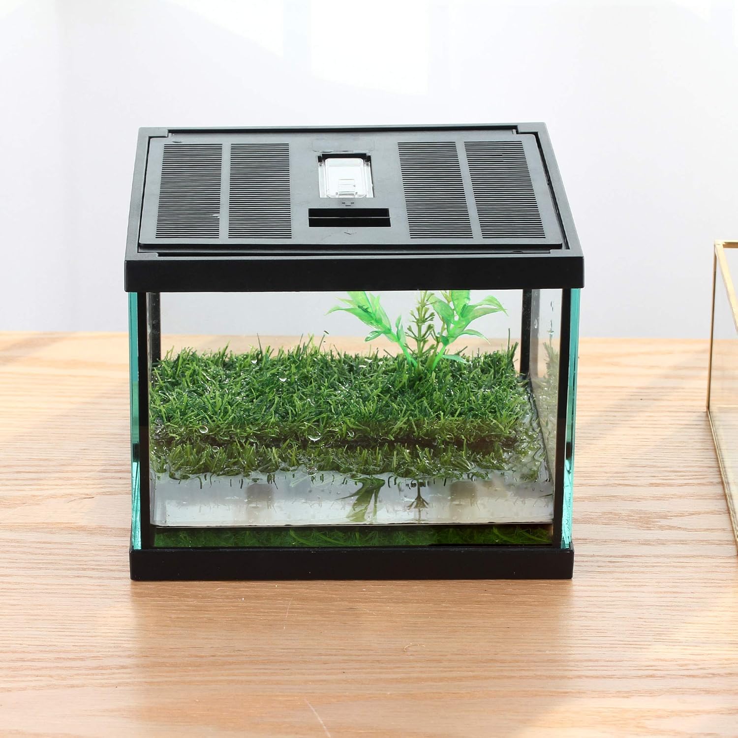 crapelles Small Glass Frog Terrarium Kit, 7.8x7.8x5.9'' for Tadpole, Amphibians, Insects Enclosure, Praying Mantis Habitat, with Green Artificial Turf Pad (excluding Animals)