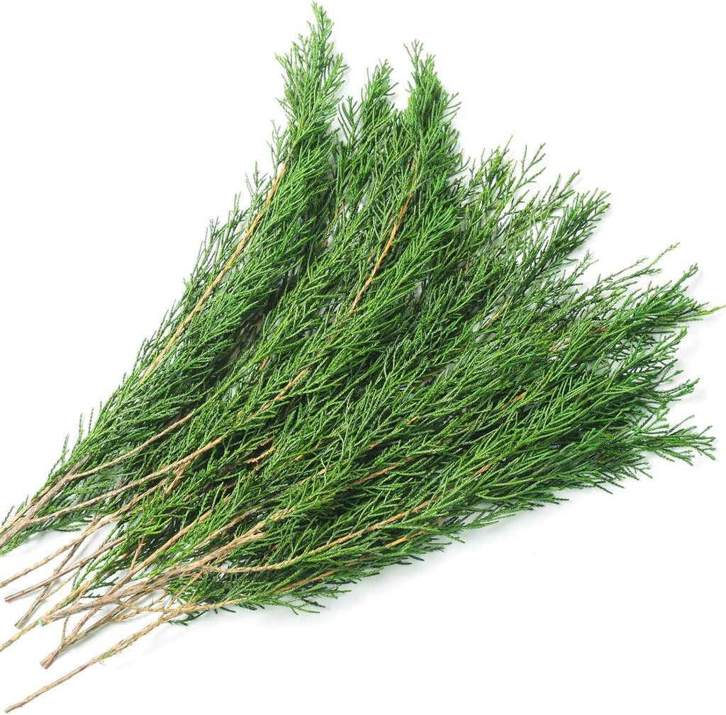 Preserved Real Pine Leaves Branches, 17'' Natural Pine Needles Green Plants, 3.5OZ Greenery Twigs Stems, Evergreen Picks for Christmas Garland Wreath Home Wedding Decor Floral Arrangements