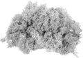 MECCANIXITY 4.6oz Preserved Reindeer Moss, Light Grey Decorative Artificial Fake Moss for Potted Plants Indoor Crafts Lichen Centerpieces Decor